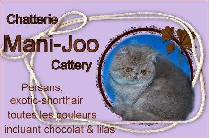 Mani-joo cattery